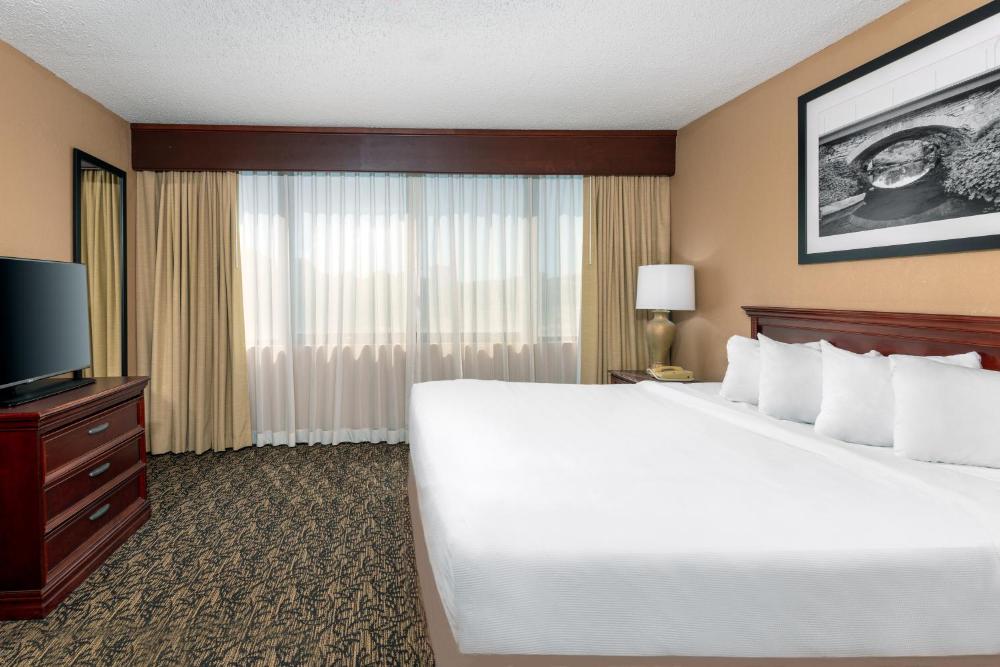 Junior King Suite with Sofa Bed interior